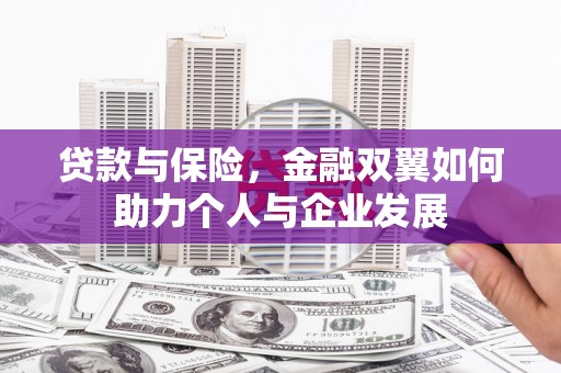 内湖贷款与保险，金融双翼如何助力个人与企业发展