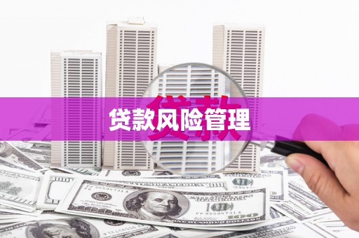 内湖贷款风险管理