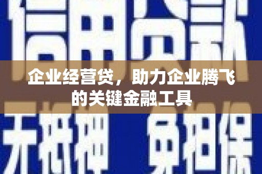 内湖企业经营贷，助力企业腾飞的关键金融工具