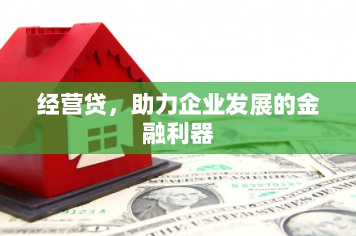 内湖经营贷，助力企业发展的金融利器