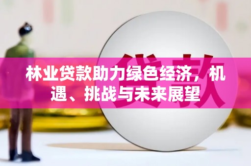 内湖林业贷款助力绿色经济，机遇、挑战与未来展望