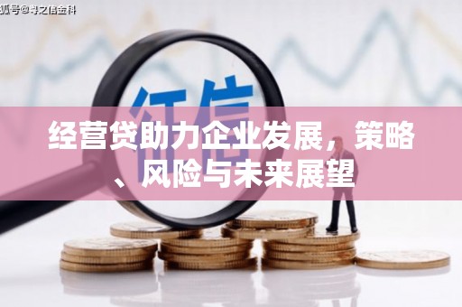 内湖经营贷助力企业发展，策略、风险与未来展望