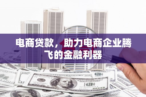 内湖电商贷款，助力电商企业腾飞的金融利器