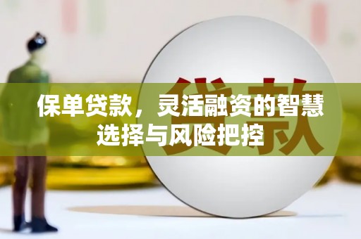 内湖保单贷款，灵活融资的智慧选择与风险把控