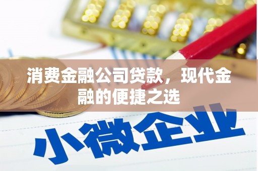 内湖消费金融公司贷款，现代金融的便捷之选