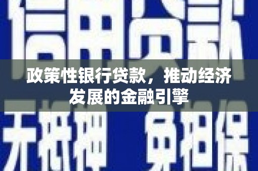 内湖政策性银行贷款，推动经济发展的金融引擎