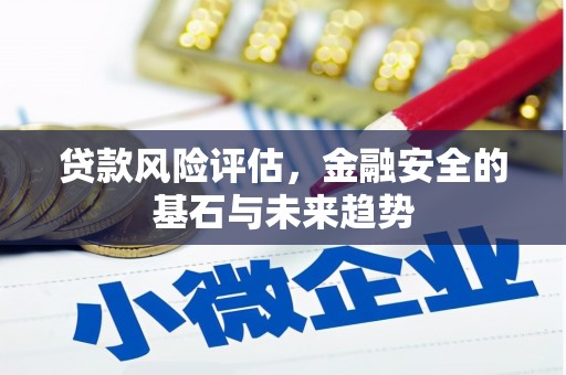 内湖贷款风险评估，金融安全的基石与未来趋势