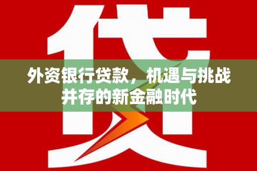 内湖外资银行贷款，机遇与挑战并存的新金融时代
