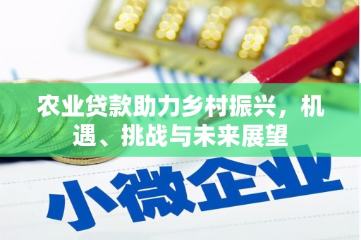 内湖农业贷款助力乡村振兴，机遇、挑战与未来展望