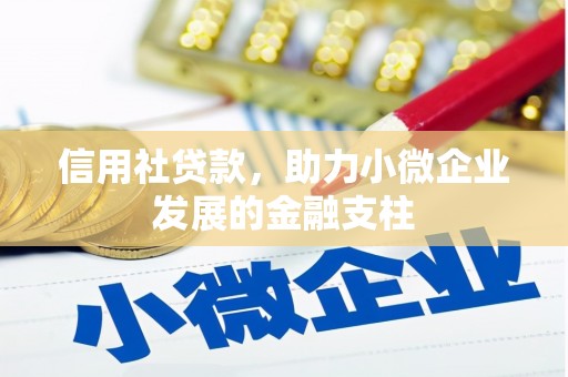内湖信用社贷款，助力小微企业发展的金融支柱