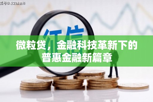 内湖微粒贷，金融科技革新下的普惠金融新篇章