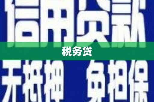 内湖税务贷