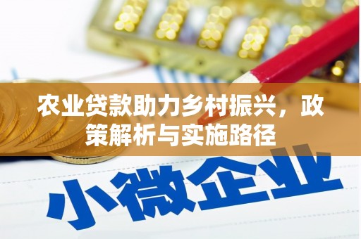 内湖农业贷款助力乡村振兴，政策解析与实施路径