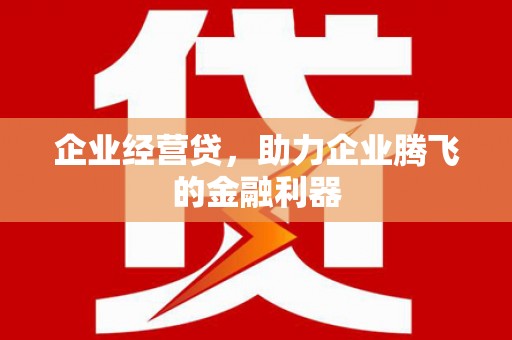 内湖企业经营贷，助力企业腾飞的金融利器