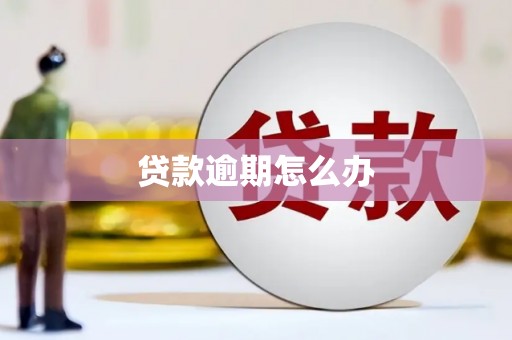 内湖贷款逾期怎么办