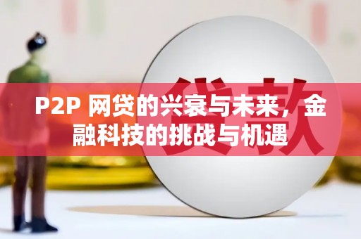 内湖P2P 网贷的兴衰与未来，金融科技的挑战与机遇