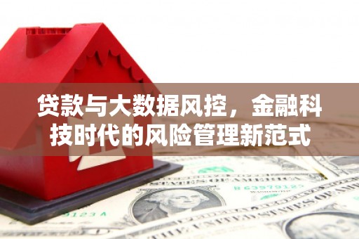 内湖贷款与大数据风控，金融科技时代的风险管理新范式