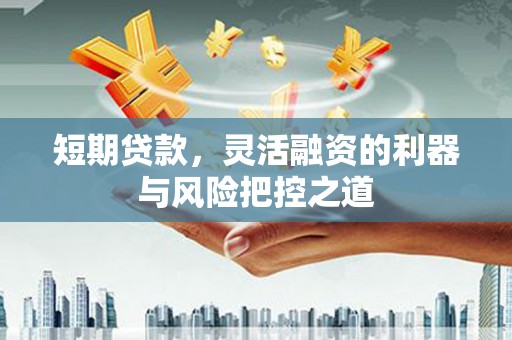 内湖短期贷款，灵活融资的利器与风险把控之道