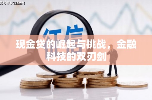 内湖现金贷的崛起与挑战，金融科技的双刃剑