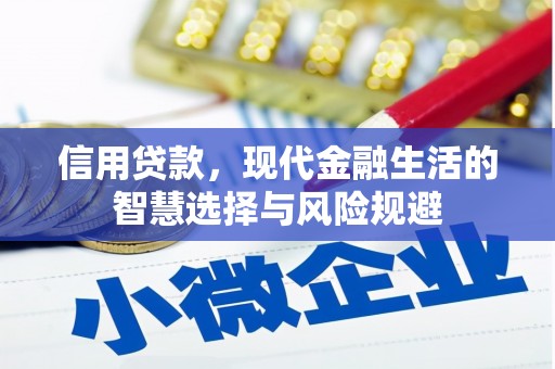 内湖信用贷款，现代金融生活的智慧选择与风险规避