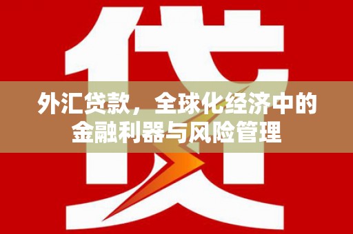 内湖外汇贷款，全球化经济中的金融利器与风险管理
