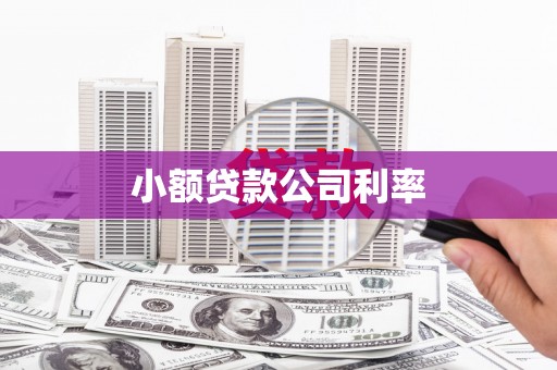 内湖小额贷款公司利率