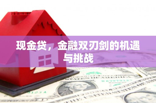 内湖现金贷，金融双刃剑的机遇与挑战