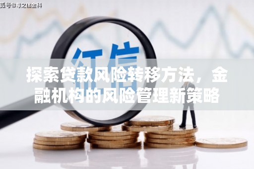 内湖探索贷款风险转移方法，金融机构的风险管理新策略