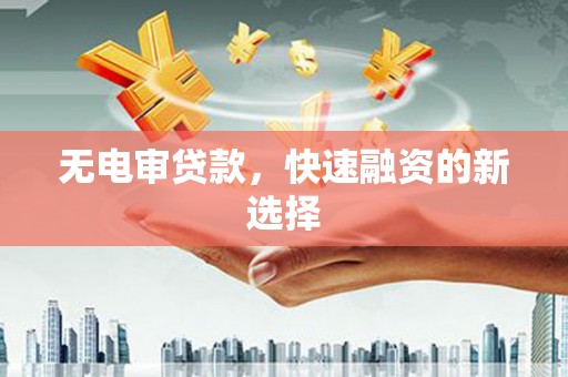 内湖无电审贷款，快速融资的新选择