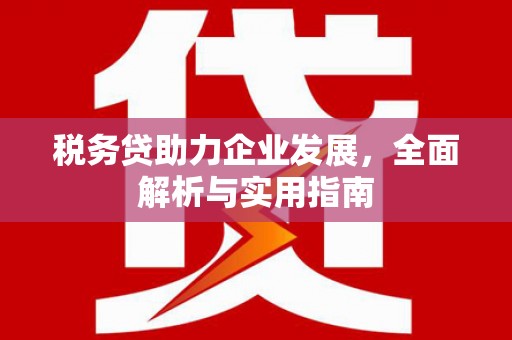 内湖税务贷助力企业发展，全面解析与实用指南