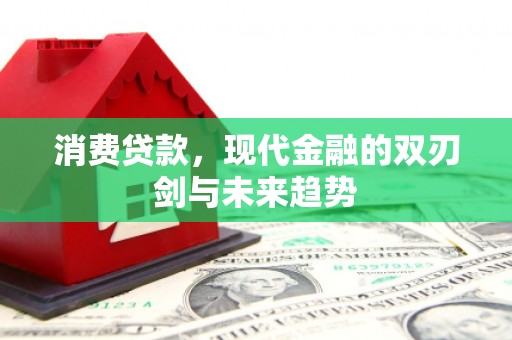 内湖消费贷款，现代金融的双刃剑与未来趋势