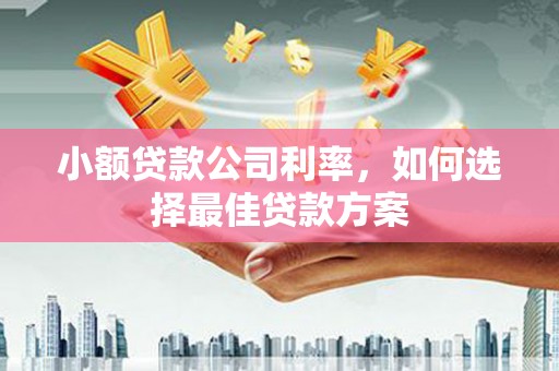 内湖小额贷款公司利率，如何选择最佳贷款方案
