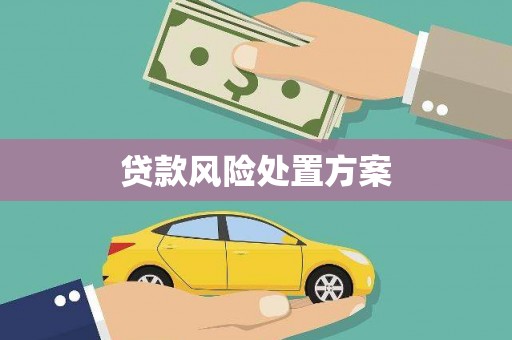 内湖贷款风险处置方案