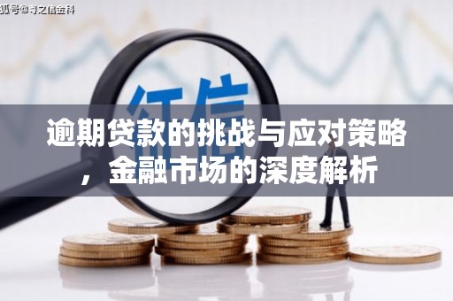 内湖逾期贷款的挑战与应对策略，金融市场的深度解析