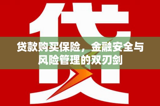 内湖贷款购买保险，金融安全与风险管理的双刃剑
