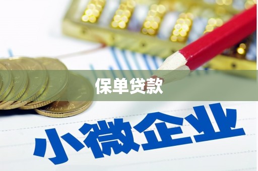内湖保单贷款
