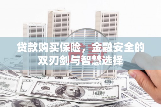 内湖贷款购买保险，金融安全的双刃剑与智慧选择