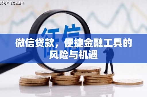 内湖微信贷款，便捷金融工具的风险与机遇