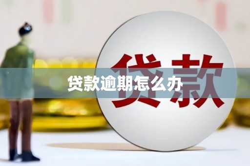 内湖贷款逾期怎么办