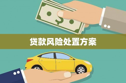 内湖贷款风险处置方案
