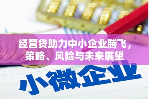 内湖经营贷助力中小企业腾飞，策略、风险与未来展望