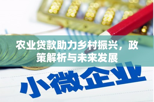 内湖农业贷款助力乡村振兴，政策解析与未来发展