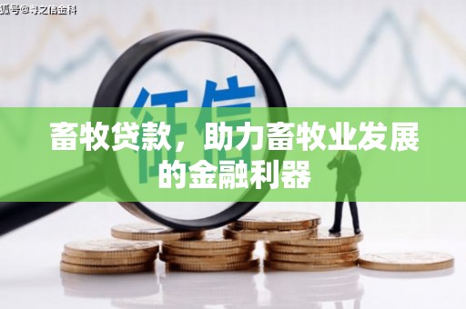内湖畜牧贷款，助力畜牧业发展的金融利器