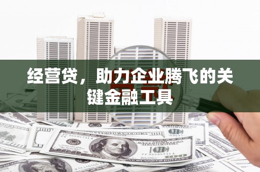 内湖经营贷，助力企业腾飞的关键金融工具