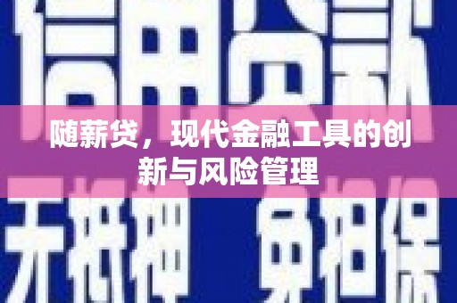 内湖随薪贷，现代金融工具的创新与风险管理