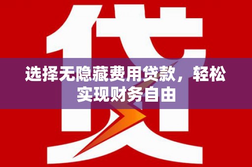 内湖选择无隐藏费用贷款，轻松实现财务自由