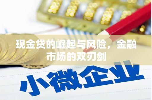 内湖现金贷的崛起与风险，金融市场的双刃剑