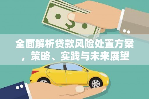 内湖全面解析贷款风险处置方案，策略、实践与未来展望