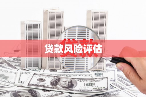 内湖贷款风险评估