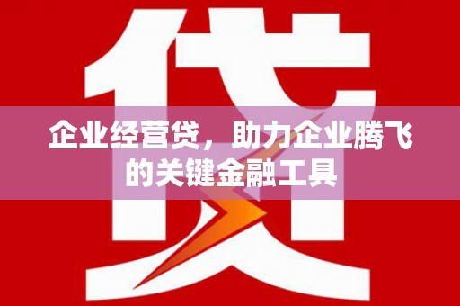 内湖企业经营贷，助力企业腾飞的关键金融工具